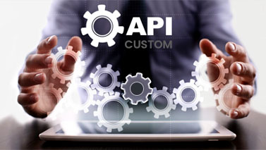 Custom API